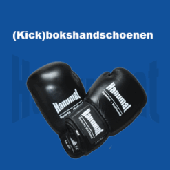 (Kick)Bokshandschoenen