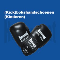 (Kick)Bokshandschoenen (kinderen)