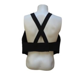 Alternative view of Hanumat body protector