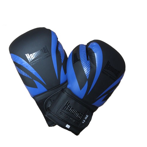 Hanumat Pro 2 Gloves Zwart Blauw