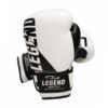 Legend Wrist bokshandschoenen
